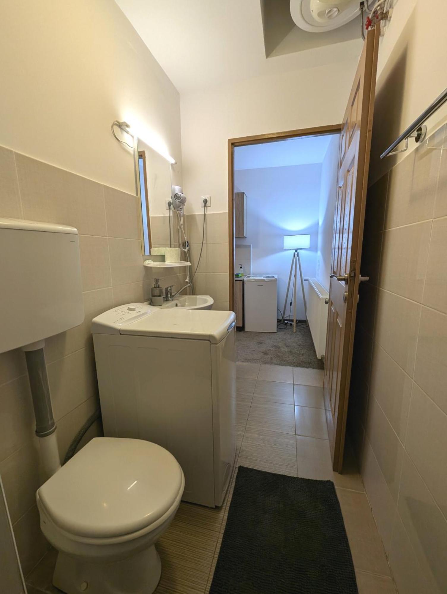 Sandor Central Studio Apartment Târgu-Mureş Exteriör bild